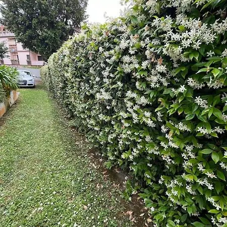 Vakantiehuis Casa Con Giardino A 500m Dal Mare Con Giardino E Area Bbq Forte dei Marmi